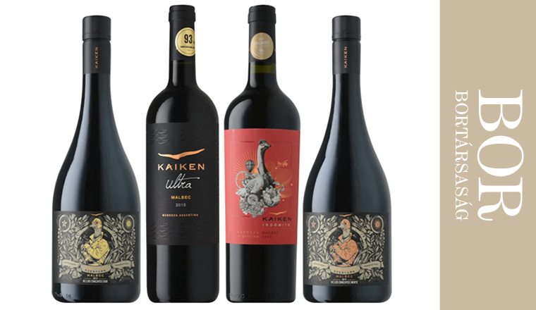 Malbec, az új argentin sztár